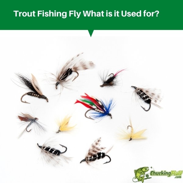 Trout Fishing Fly what is it used for? – Fly Fishing Basics