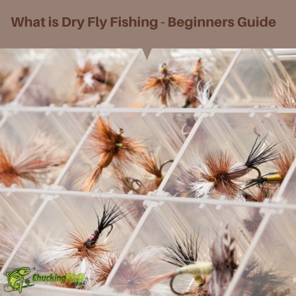 Chucking Fluff Beginners Guide To Fly Fishing