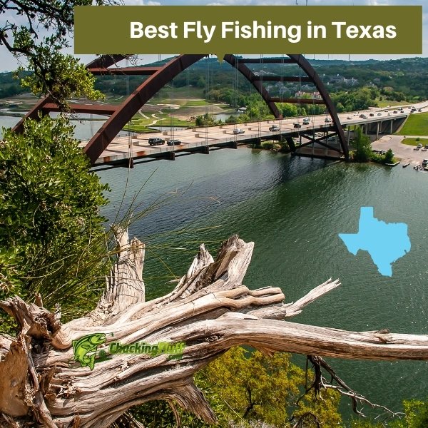 Best Fly Fishing in Texas