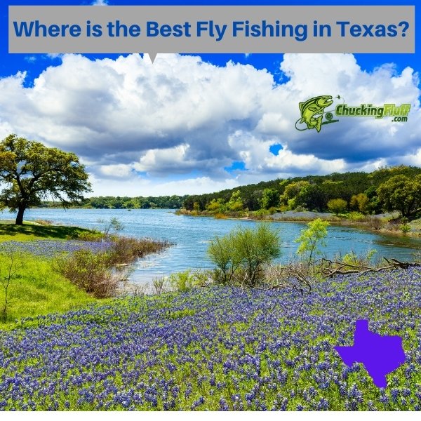 Where is the Best Fly Fishing in Texas