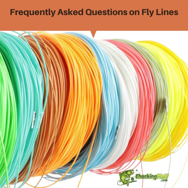 FAQs on Fly Fishing Lines – 45 Questions Answered