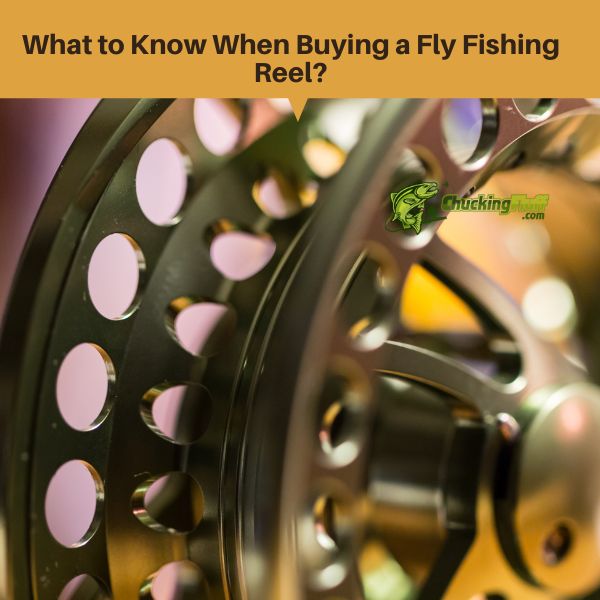 What to Know When Buying a Fly Fishing Reel