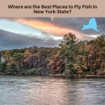Where are the Best Places to Fly Fish in New York State