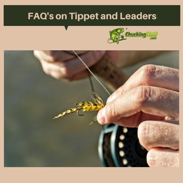 FAQ's on Tippet and Leaders