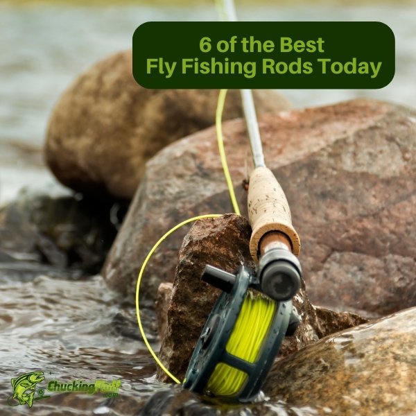 6 of the Best Fly Fishing Rods Today