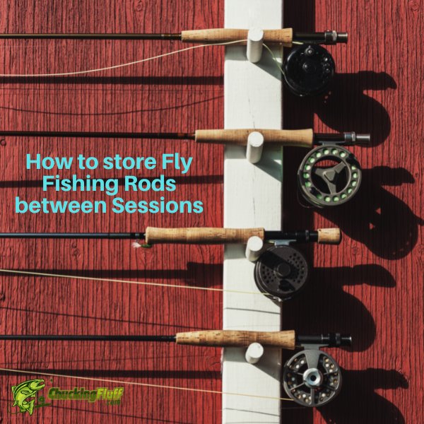 https://chuckingfluff.com/wp-content/uploads/2023/01/How-to-store-Fly-Fishing-Rods-Between-Sessions-.jpg