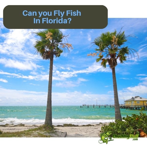 Can you Fly Fish In Florida