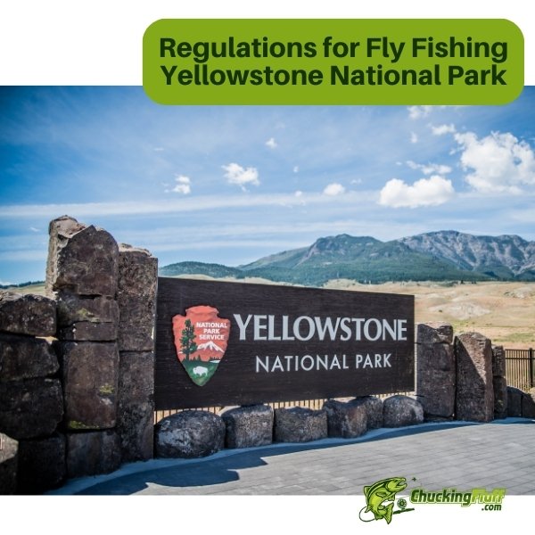 Regulations for Fly Fishing Yellowstone National Park