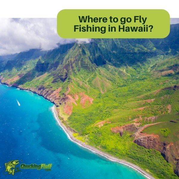 Where to go Fly Fishing in Hawaii