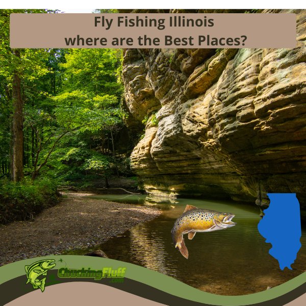 Fly Fishing Illinois where are the Best Places 