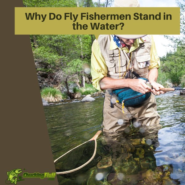 Why Do Fly Fishermen Stand in the Water? Wade to Catch