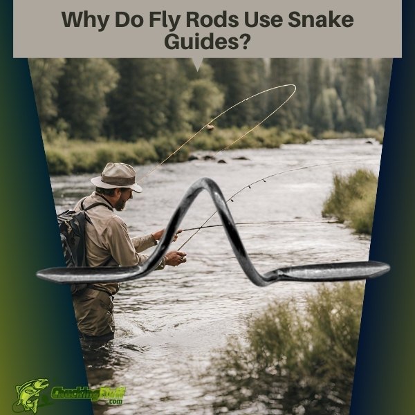 Why Do Fly Rods Use Snake Guides? A Friendly Exploration of Their Importance