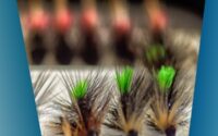 Dry Fly Fishing Tips And Tricks