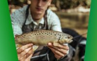 The Unexplored Dimensions of Successful Fly Fishing