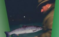 Mastering Night Fishing For Sea-Trout 24 Essential Tips For Sucess