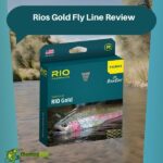 Rios Gold Fly Line Review