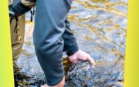 Reading The Water A Skill Every Fly Fisher Should Master