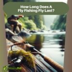 How Long Does A Fly Fishing Fly Last
