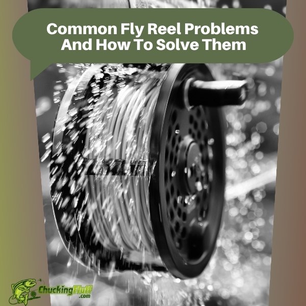 Common Fly Reel Problems And How To Solve Them