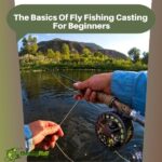 The Basics Of Fly Fishing Casting For Beginners