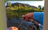 The Basics Of Fly Fishing Casting For Beginners