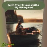Catch Trout In Lakes with a Fly Fishing Rod