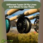 Different Types Of Fly Lines And When To Use Them