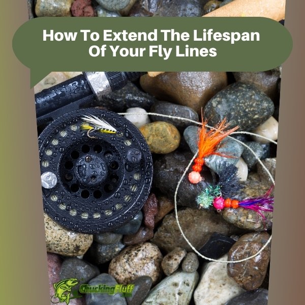 How To Extend The Lifespan Of Your Fly Lines