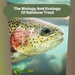 The Biology And Ecology Of Rainbow Trout