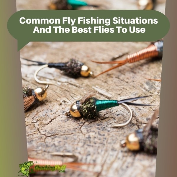 Common Fly Fishing Situations And The Best Flies To Use