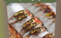 Essential Flies For Every Fly Fishing Angler