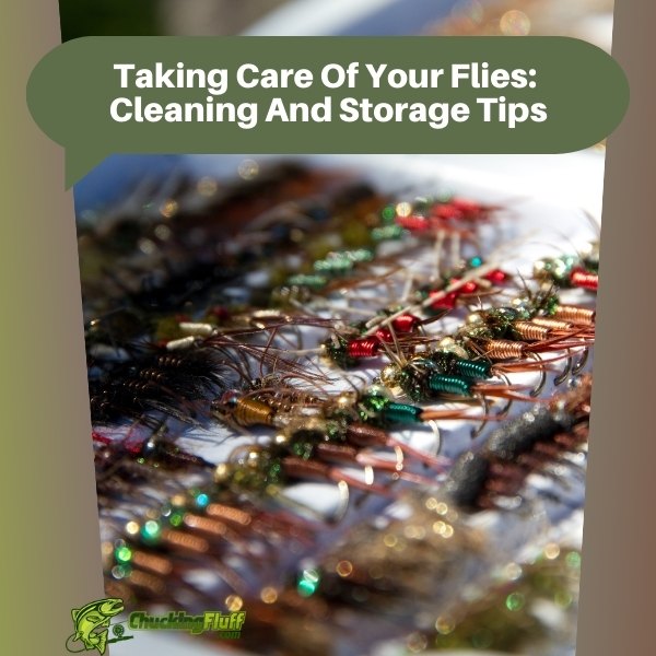 Taking Care Of Your Flies Cleaning And Storage Tips