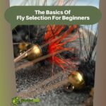 The Basics Of Fly Selection For Beginners