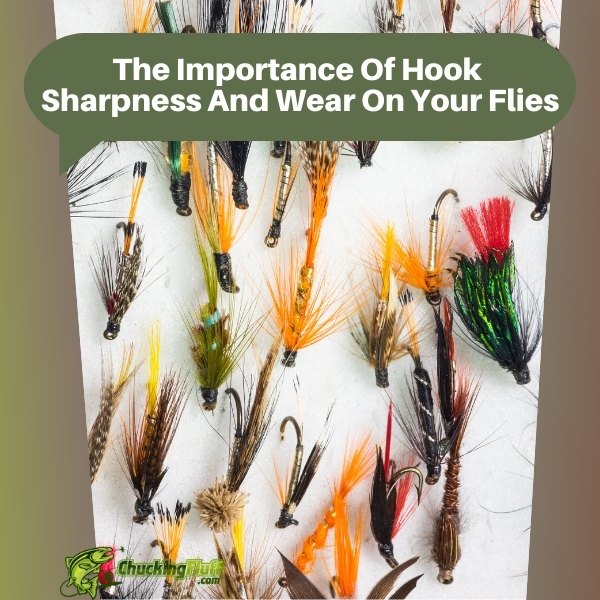 The Importance Of Hook Sharpness And Wear On Your Flies