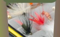 Understanding Fly Patterns And Their Uses