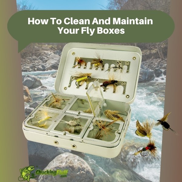 How To Clean And Maintain Your Fly Boxes