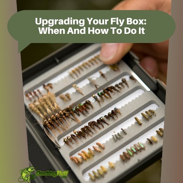 Upgrading Your Fly Box When And How To Do It