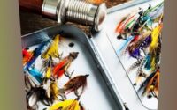 Arranging Flies In Your Fly Box For Easy Access