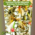 Common Fly Box Mistakes And How To Avoid Them