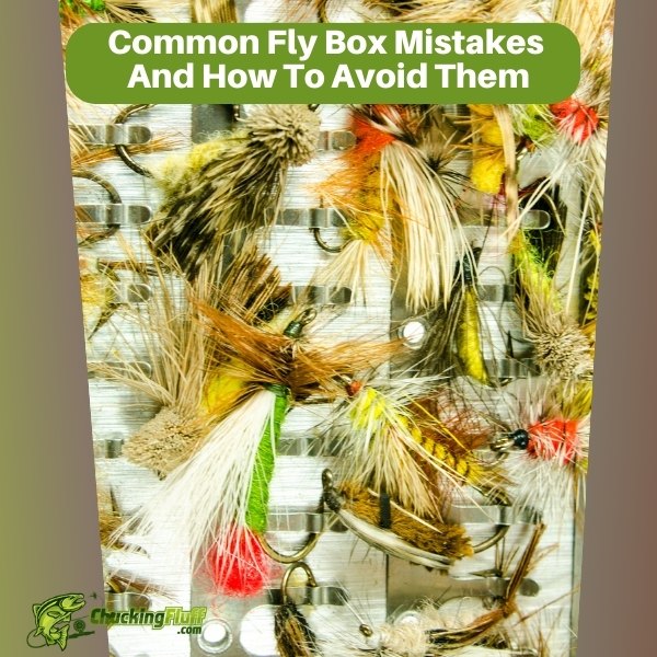 Common Fly Box Mistakes And How To Avoid Them