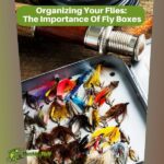 Organizing Your Flies The Importance Of Fly Boxes