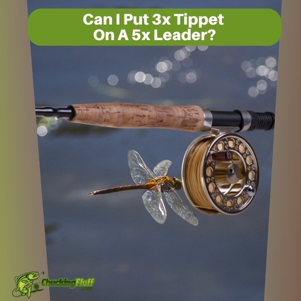 Can I Put 3x Tippet On A 5x Leader