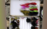 Exploring Different Fly Box Brands