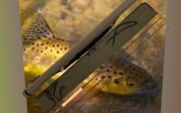 Sharpes Of Aberdeen Gordon 2 Fly Rod Review
