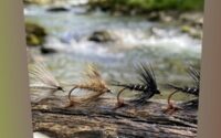 Best Wet Flies For Beginners In The UK