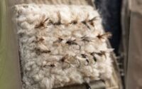 Dry Fly Fishing Tips And Tricks