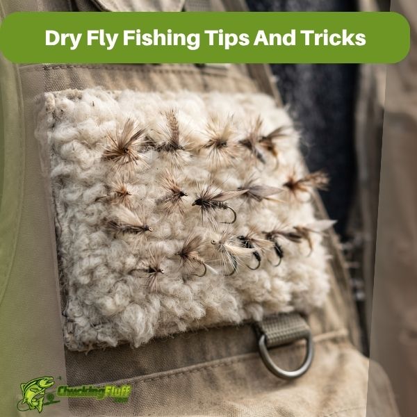 Dry Fly Fishing Tips And Tricks