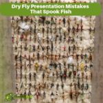 Dry Fly Presentation Mistakes That Spook Fish