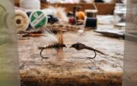Dry Fly vs Nymph Fishing Which Should Beginners Learn First