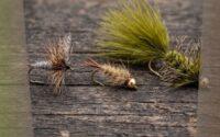 Nymphs, Dries, and Streamers The Beginner's Guide to Choosing a Fly